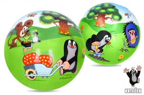 Opblaasbare rubberen bal Krtek 23 cm in net