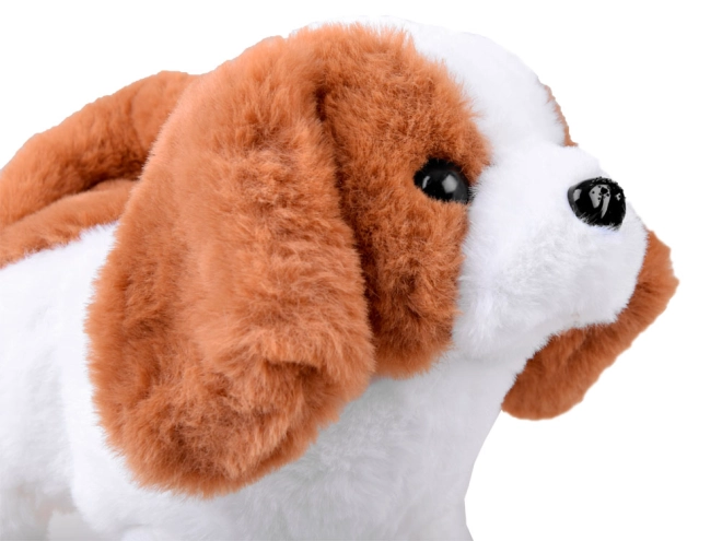 Schattige knuffel met realistische functies