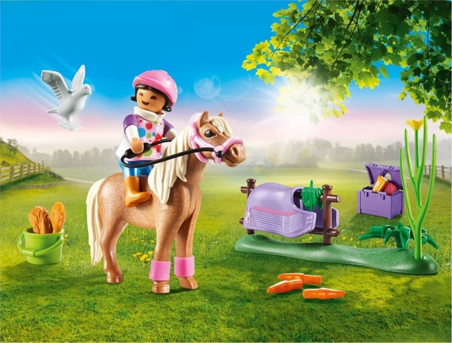 PLAYMOBIL® Country 70514 Verzamelpony IJslander