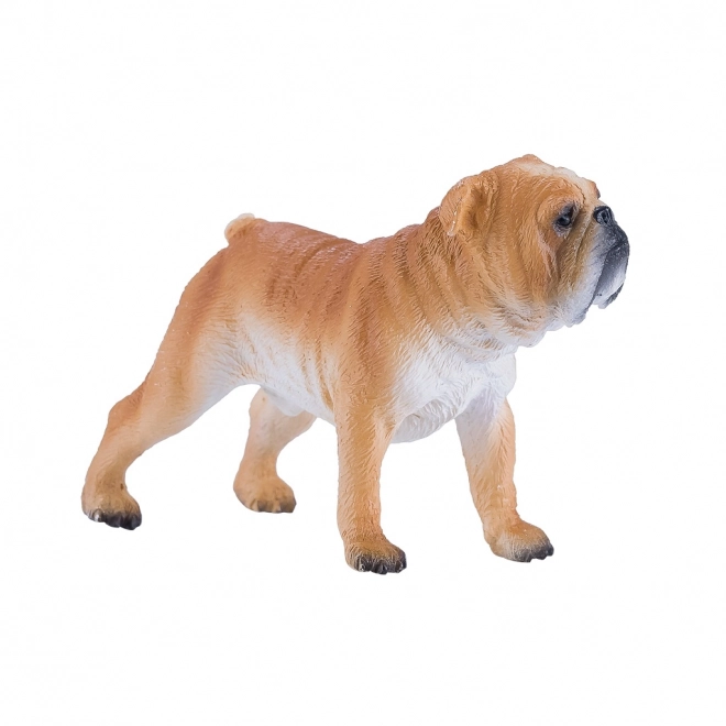 Mojo Engelse Bulldog
