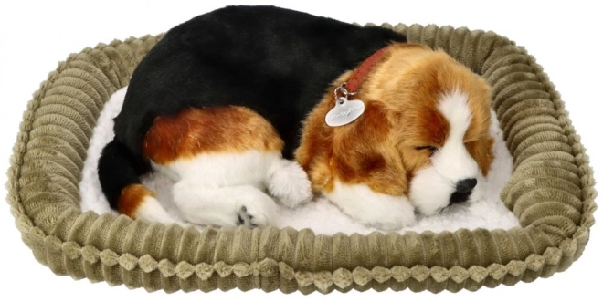 Ademend Puppy Beagle Perfect Petzzz