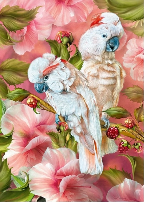 CHERRY PAZZI puzzle cacatoès – esprits des tropiques, 1000 pièces
