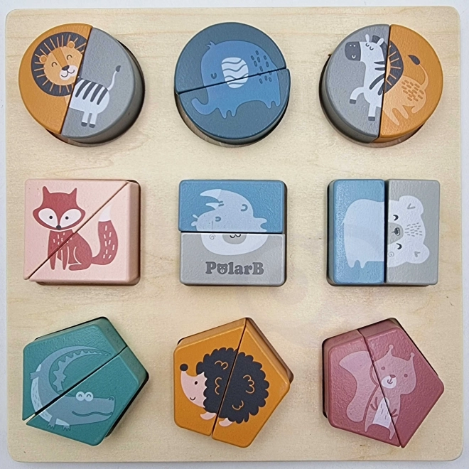 Shape Puzzle PolarB