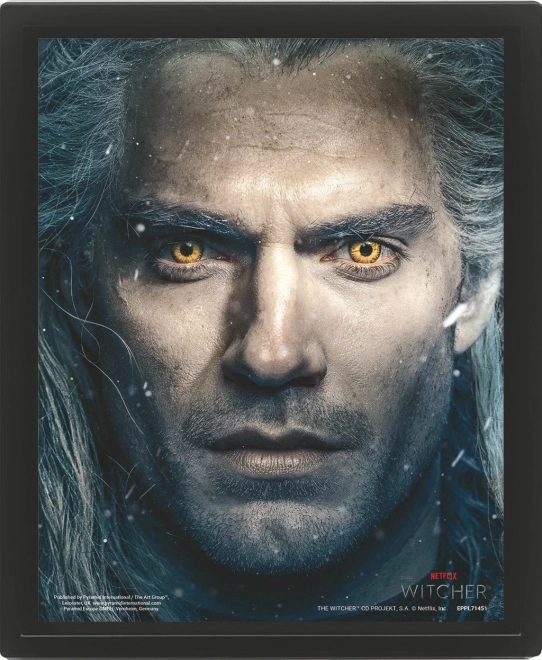 3D Picture The Witcher 2