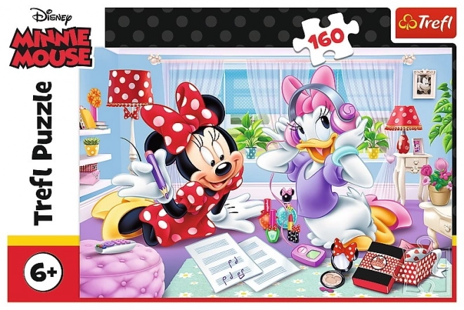 Disney Minnie Puzzle - A Day with Friends
