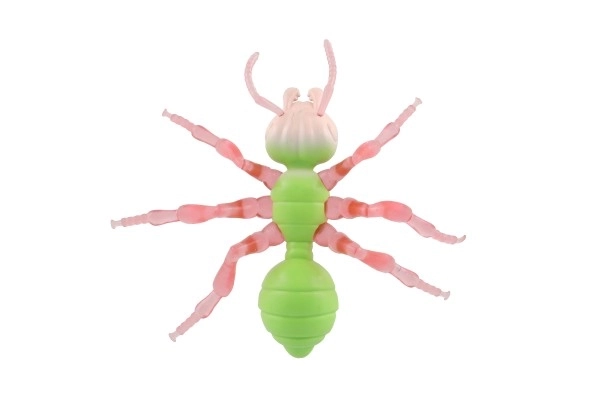 Anti-stress Ant