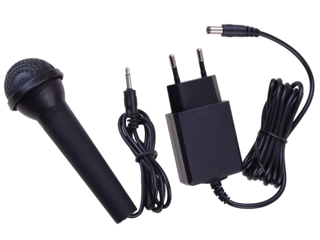 Amusement karaoké avec microphone et enregistrement