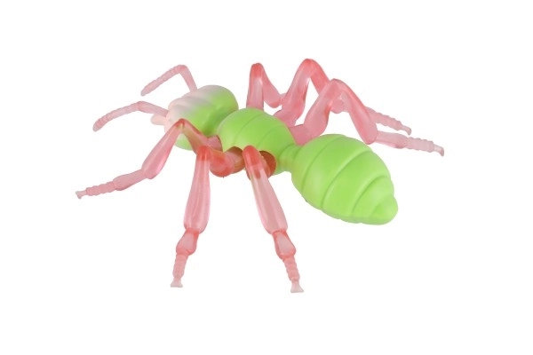 Anti-stress Ant