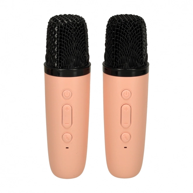 Ensemble karaoké 2 microphones + haut-parleur portable BLUETOOTH USB LED rose