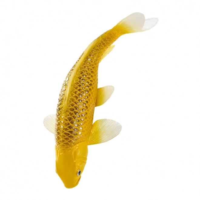 Mojo karper koi Matsuba