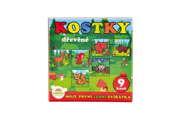 Blokken Kubus Mijn Eerste Dieren Hout