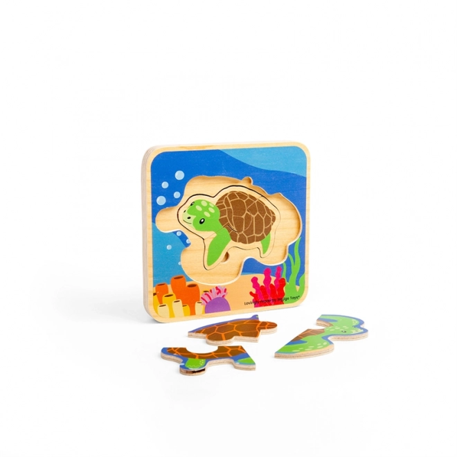 Puzzle Bigjigs Toys Cycle de vie de la tortue