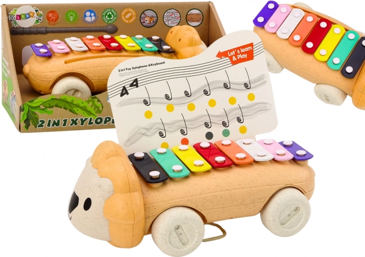 Lion Cymbals On Wheels Kinder kleurrijk educatief instrument