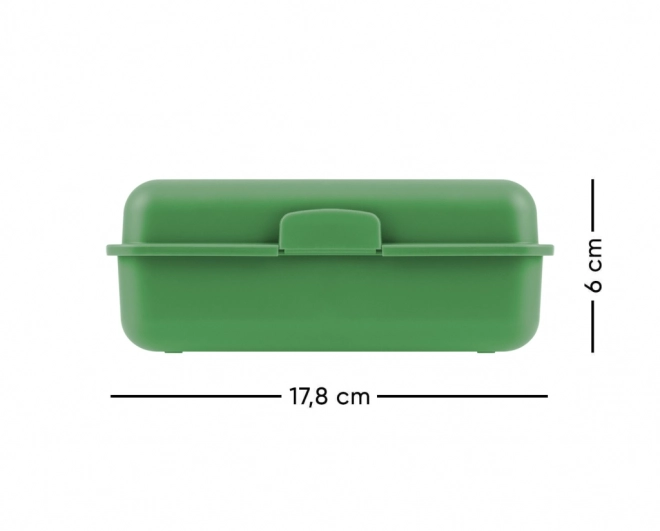 Lunchbox met Drakenmotief