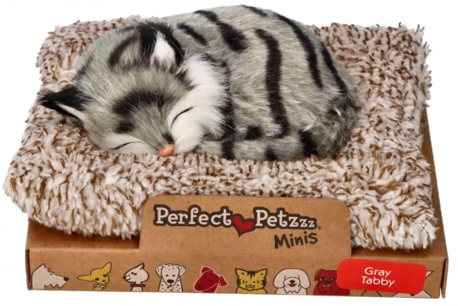 Interactieve grijze gestreepte kitten