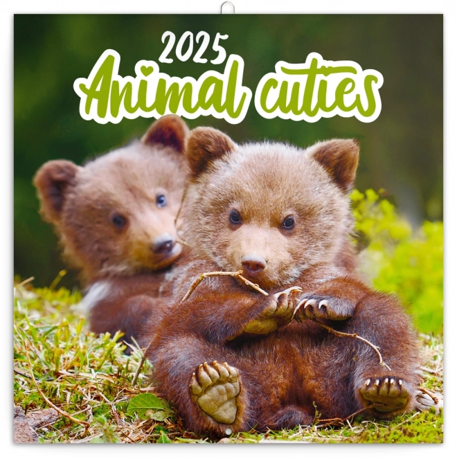 Notitie Kalender Kleintjes 2025, 30 x 30 cm