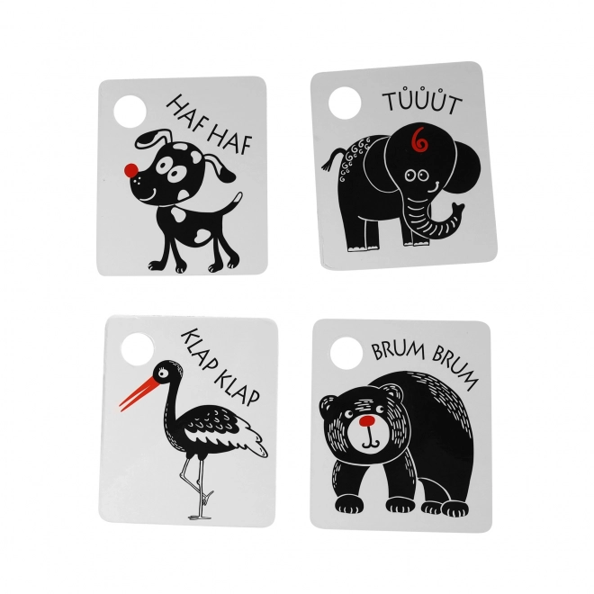Contrastkaartjes voor kinderen met een kleurrijk element