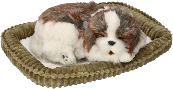 Adopt Me Breathing Shih Tzu Puppy
