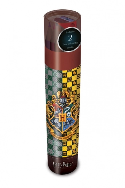 Kleurpotloden Harry Potter in etui