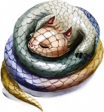 Diversité des dragons