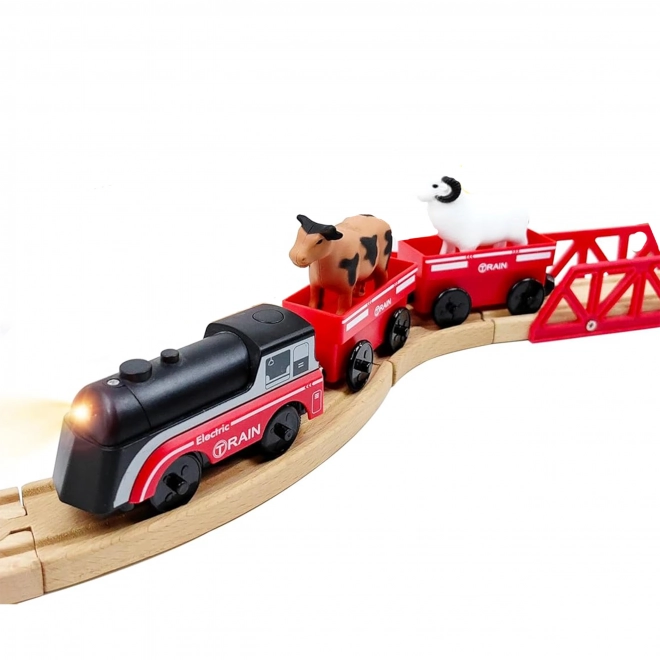Elektrische locomotief met magnetische wagons