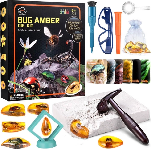 Opgravingen van amber-insectenfossielen – educatieve archeologieset