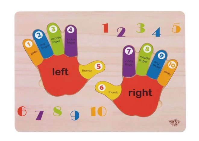 Educational Wooden Puzzle Hands Counting and Colors
