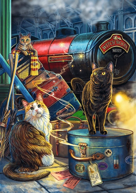 Puzzle TREFL Premium Plus Magic Collection: Witchwood Express 1000 Teile