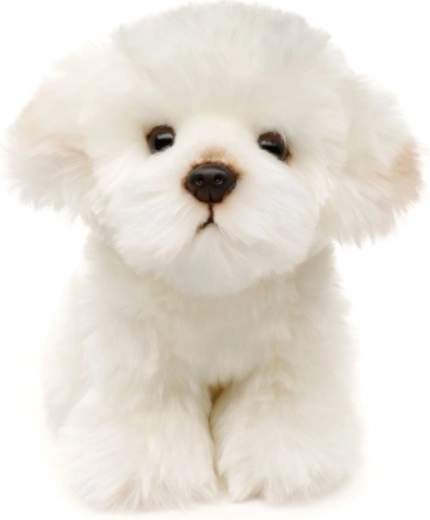 Eco-friendly and safe design