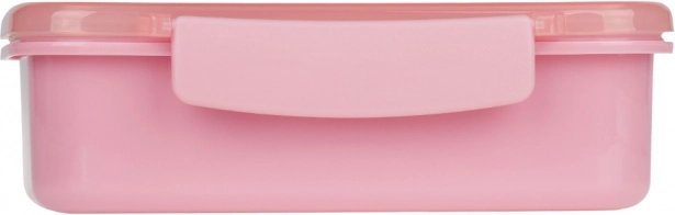 Baagl snack box with compartments Panda