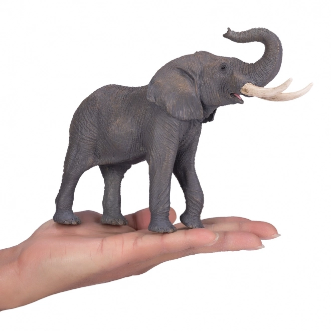 Mojo Afrikaanse Olifant