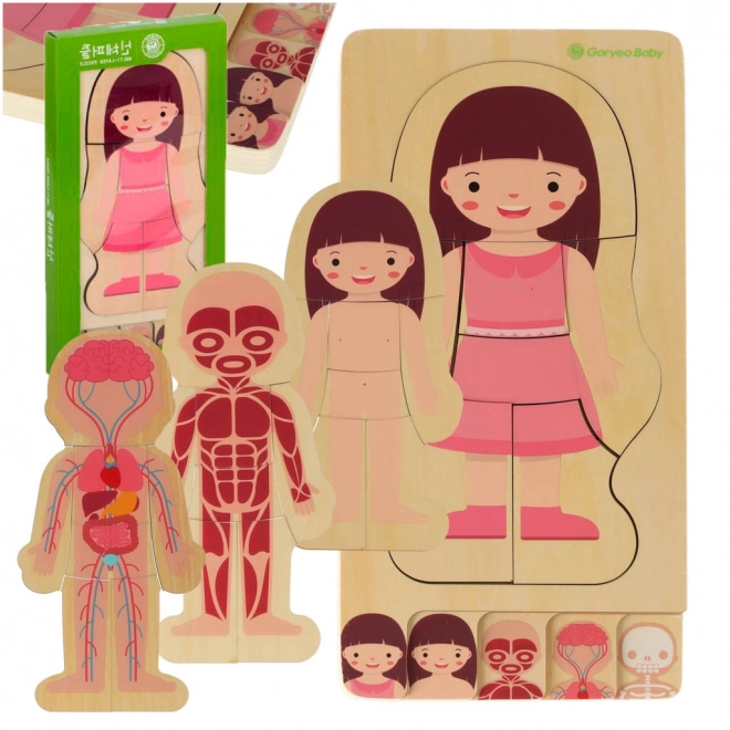 Educational Wooden Body Construction Puzzle Montessori for Girls