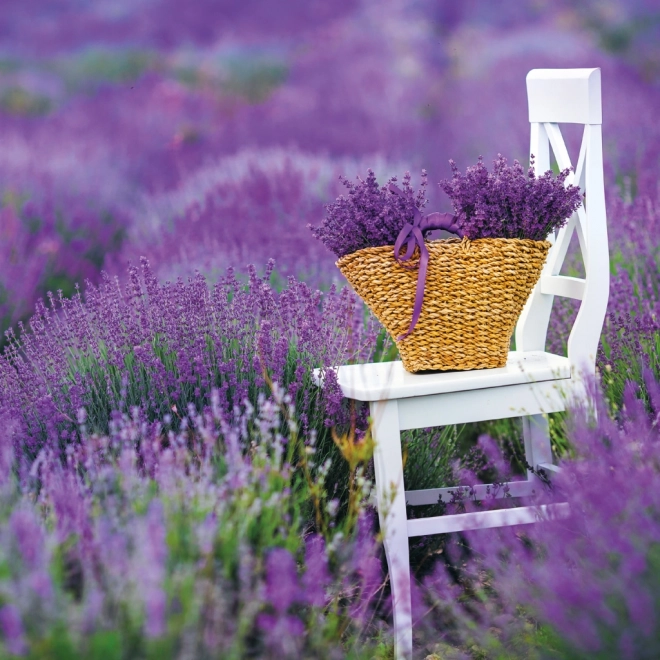 Notitie Kalender Provence 2026