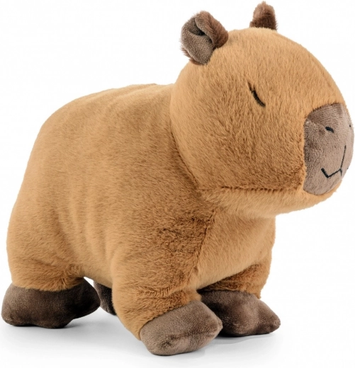 Zachtheid en comfort bij de eerste aanraking