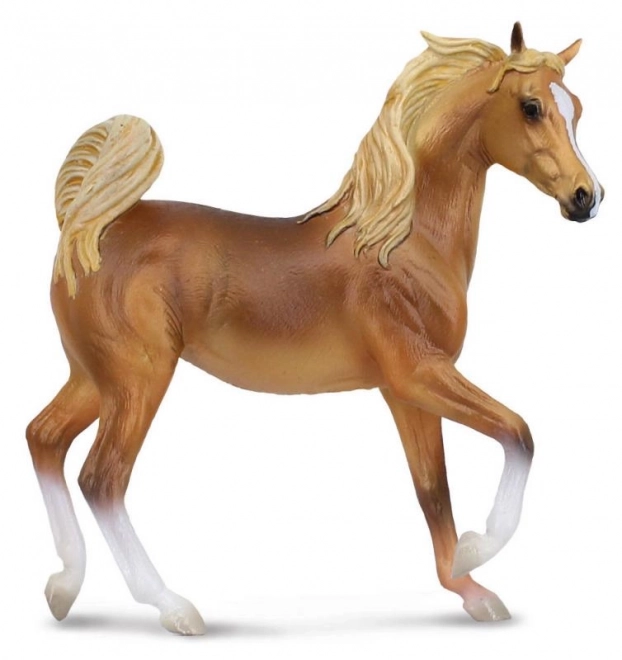 Arabische merrie - vos