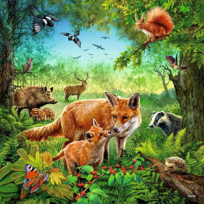 Heldere kleuren en gedetailleerde illustraties