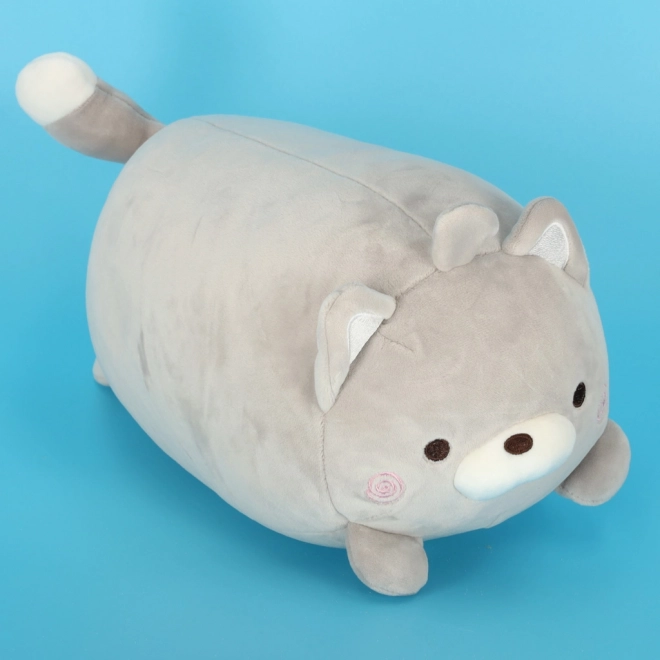 Magische reis kussen 2in1 croissant mascotte kat