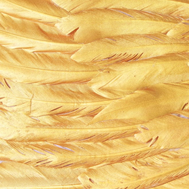 Engelachtige gouden vleugels