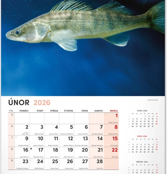 Wandkalender Visserij 2026