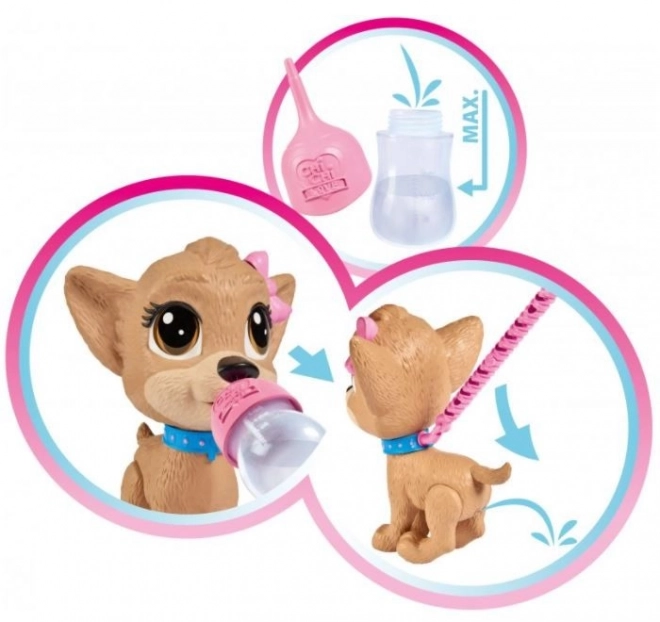 CCL Hondje Chihuahua Pii Pii