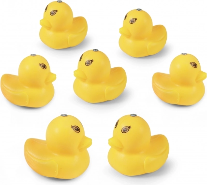 Six duckies with magnets