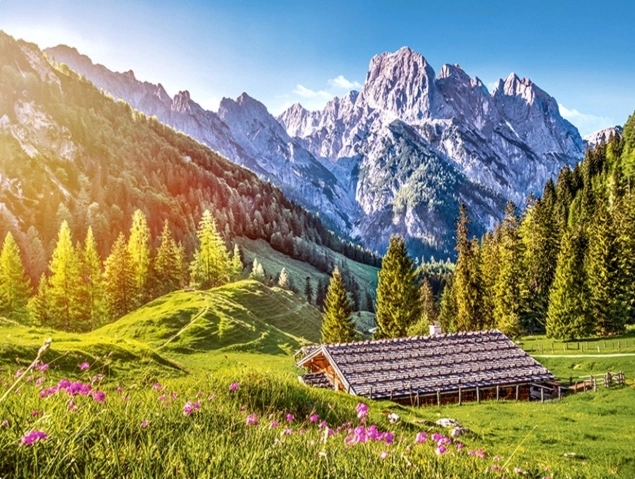 Puzzel 500 stukjes – Zomer in de Alpen CASTORLAND