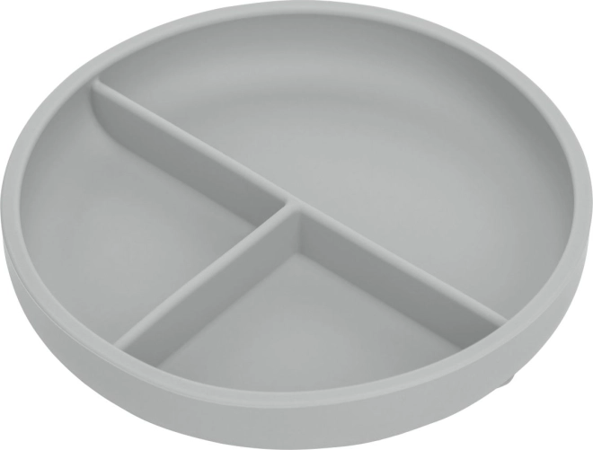 Silicone Plate Grey