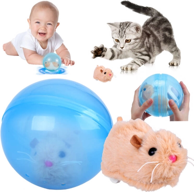 Playful movement that captivates kids and pets