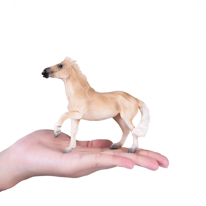 Mojo Brumby Mare