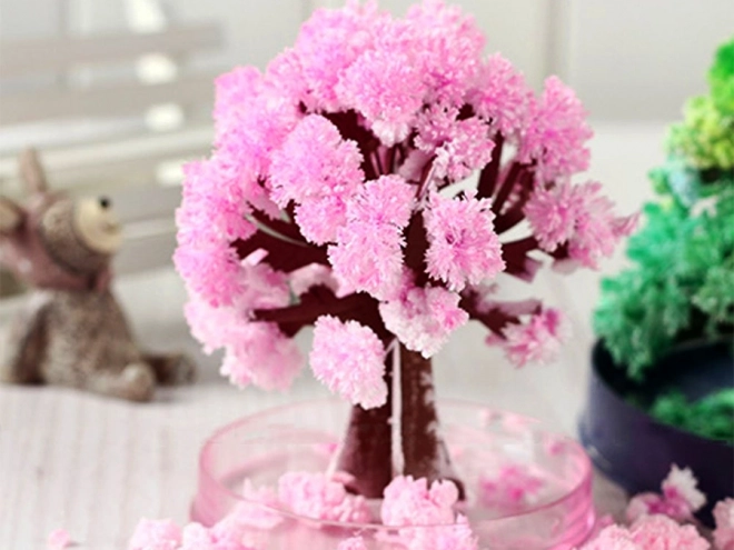 Magische Sakura Boom
