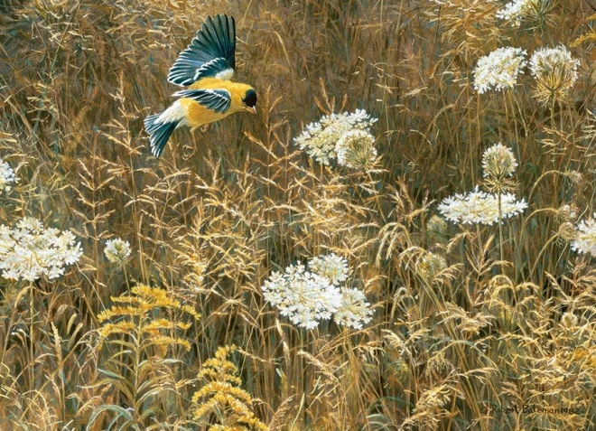 Art réaliste de Robert Bateman