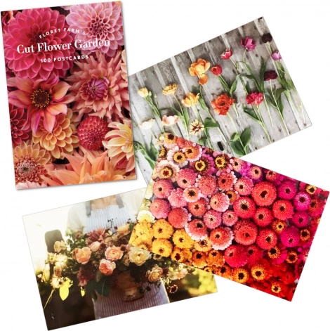 Chronicle Books Bouquet from the Flower Farm: 100 Postcards