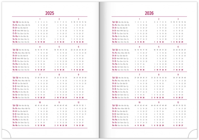 NOTIQUE Wekelijkse agenda Balacron 2025, zilverkleurig, 15 x 21 cm