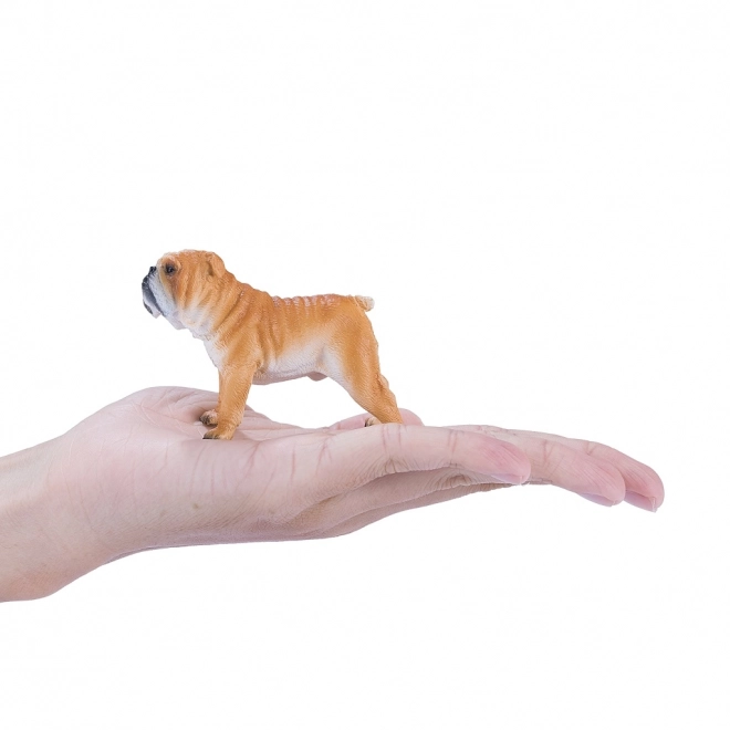 Mojo Engelse Bulldog